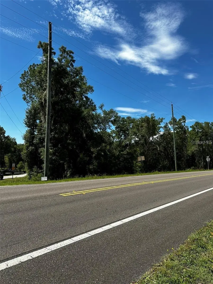 Thrasher Dr, Bronson, FL 32621 - #2