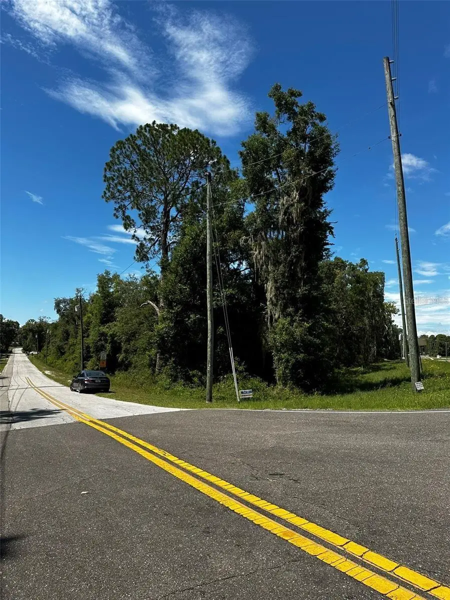 Thrasher Dr, Bronson, FL 32621 - #3