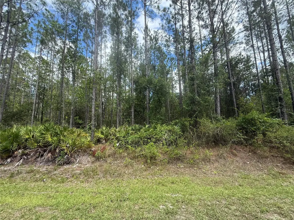 SW 89th Street, Lake Butler, FL 32054 - #1