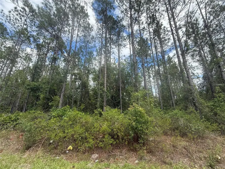 SW 89th Street, Lake Butler, FL 32054 - #2