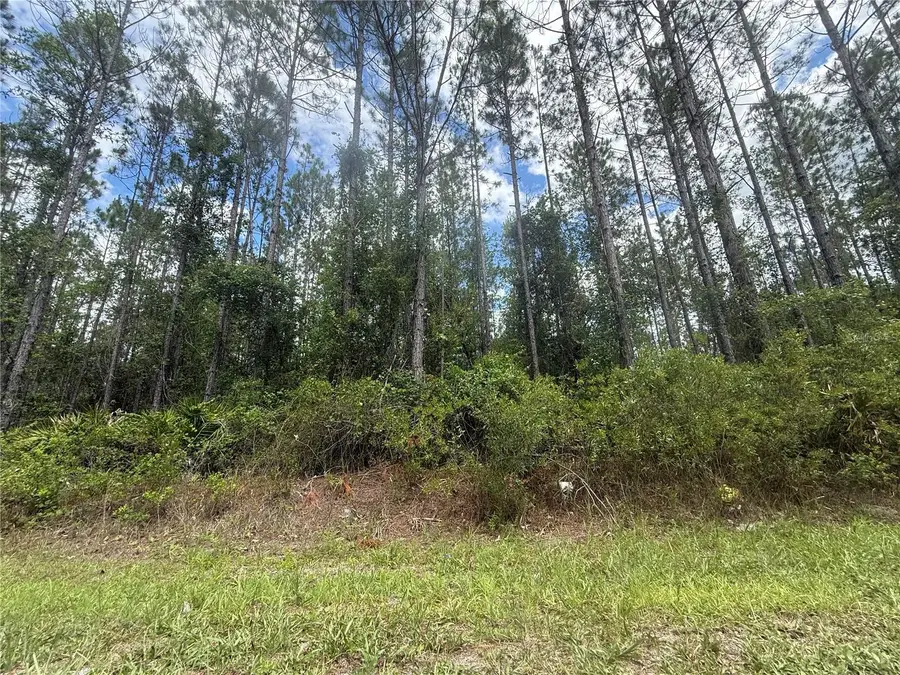 SW 89th Street, Lake Butler, FL 32054 - #3