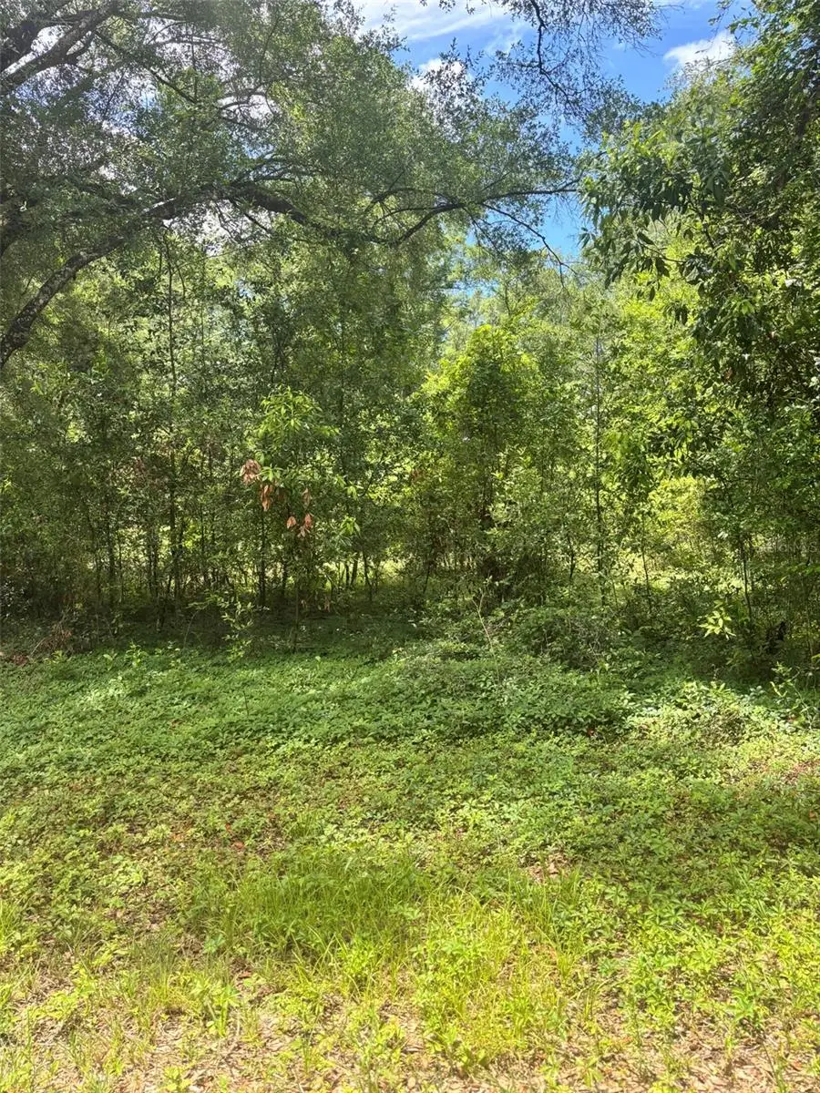8230 NW 166th Street, Fanning Springs, FL 32693 - #1