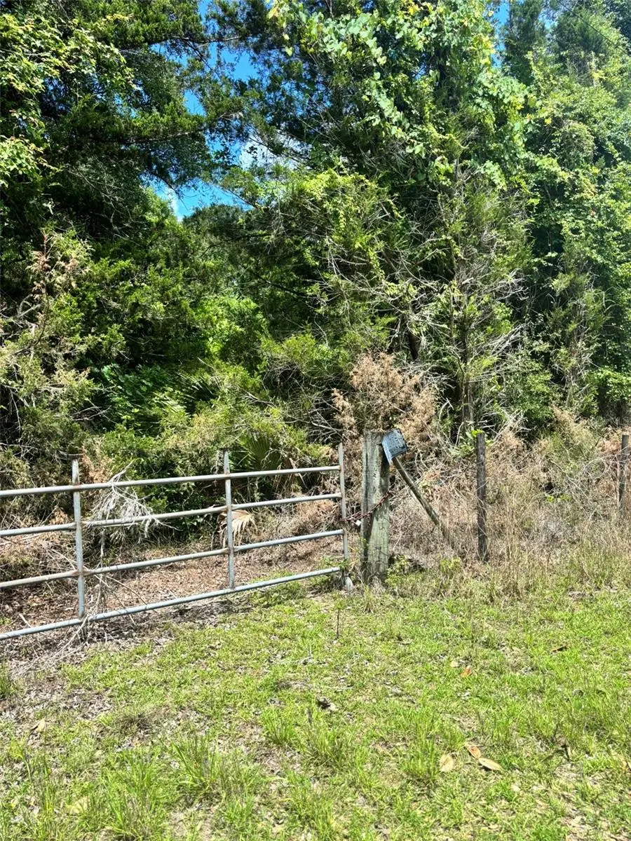 11916 NW 80th Court, Chiefland, FL 32626 - #2