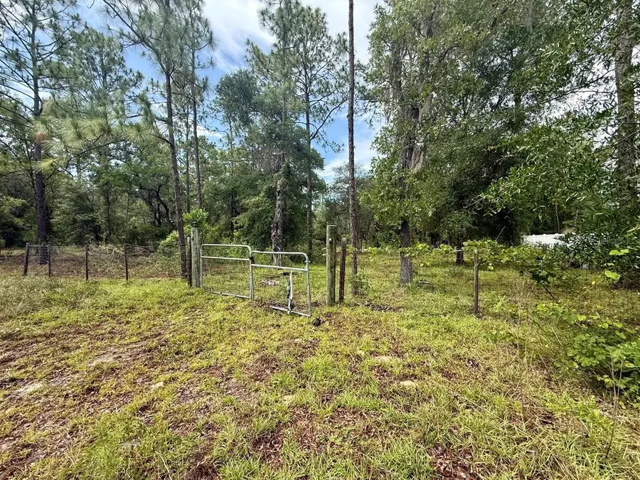 TBD NE 3rd Place, Williston, FL 32696 - #2