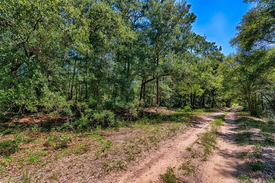 TBD NE 83rd Lane, Bronson, FL 32621 - #2