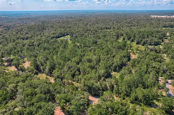 000 NE 83rd Lane, BRONSON, FL 32621