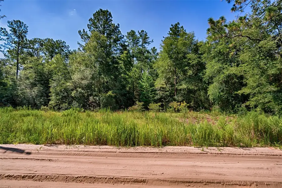 TBD NE 100th Avenue, Bronson, FL 32621 - #2