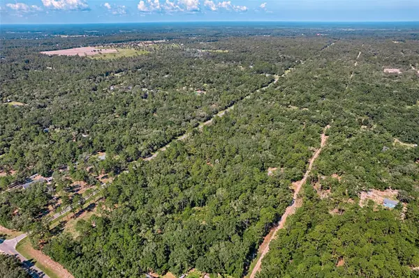 000 NE 82nd Place, BRONSON, FL 32621