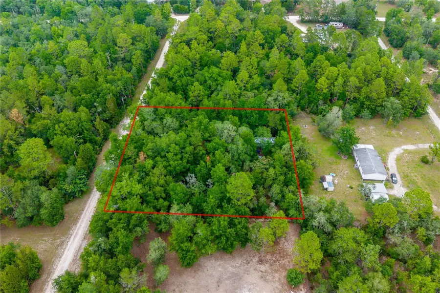 1671 NE 128th Avenue, Williston, FL 32696 - #3