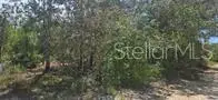 000 NE 67th Lane, Bronson, FL 32621 - #2