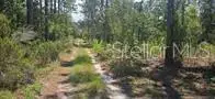 000 NE 67th Lane, Bronson, FL 32621 - #3