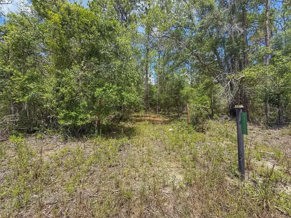 6339 NW 17th Court, BELL, FL 32619