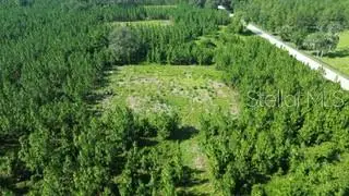 SW Carpenter Road W, Lake City, FL 32024 - #1