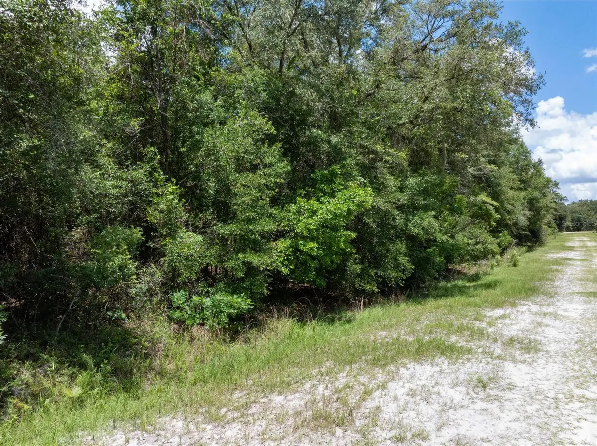 Lot 53 SW Roanoke Terrace, Fort White, FL 32038 - #1