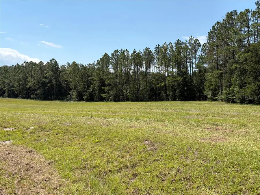 SW Windsor Court, Lake City, FL 32024 - #3