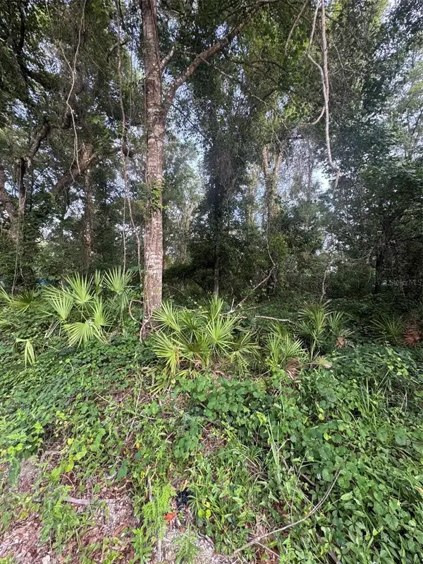472 NE Avenue Avenue #200, OLD TOWN, FL 32680