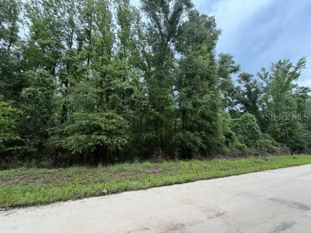 NE 312th Avenue, Old Town, FL 32680 - #1