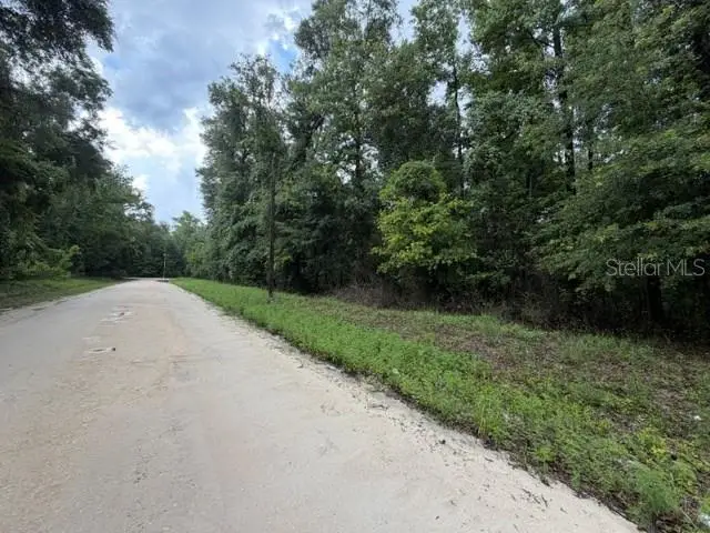 NE 312th Avenue, Old Town, FL 32680 - #3