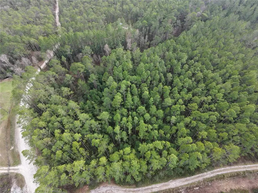 NE Ne 130 Ct Rd, Fort McCoy Anthony, FL 32134 - #2