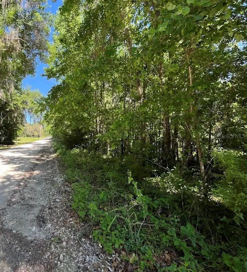 14220 NW 182nd Lane, Williston, FL 32696 - #1