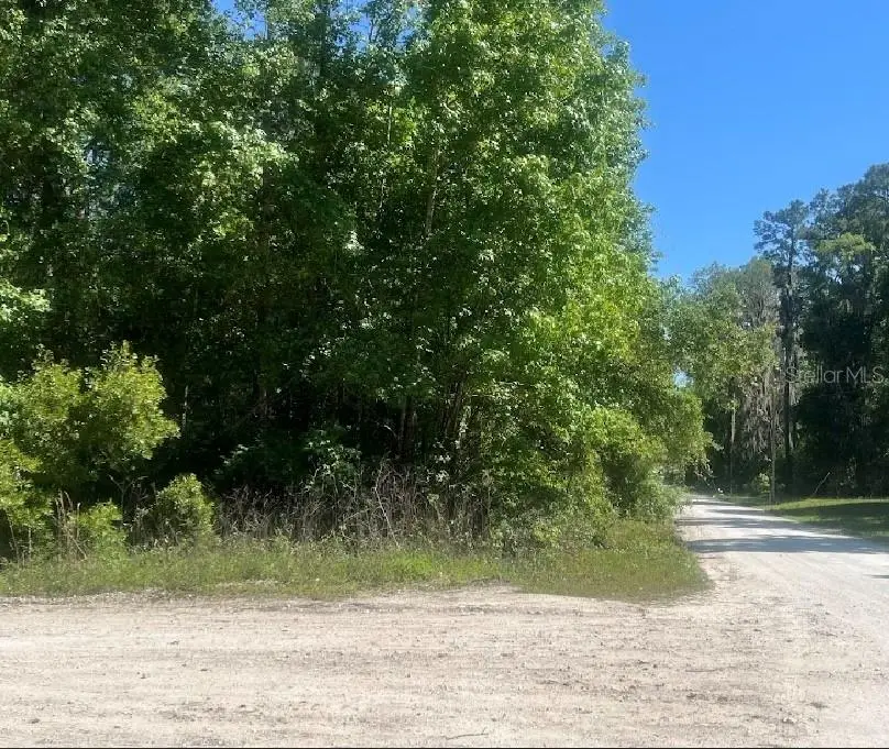 14220 NW 182nd Lane, Williston, FL 32696 - #2