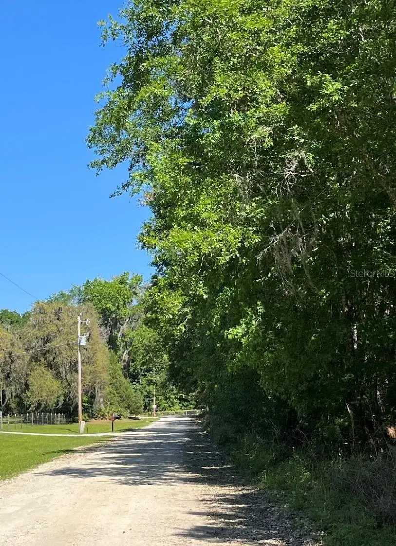 14220 NW 182nd Lane, Williston, FL 32696 - #3