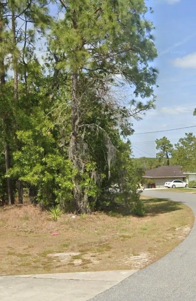 TBD Pecan Pass Drive, Ocala, FL 34471 - #1