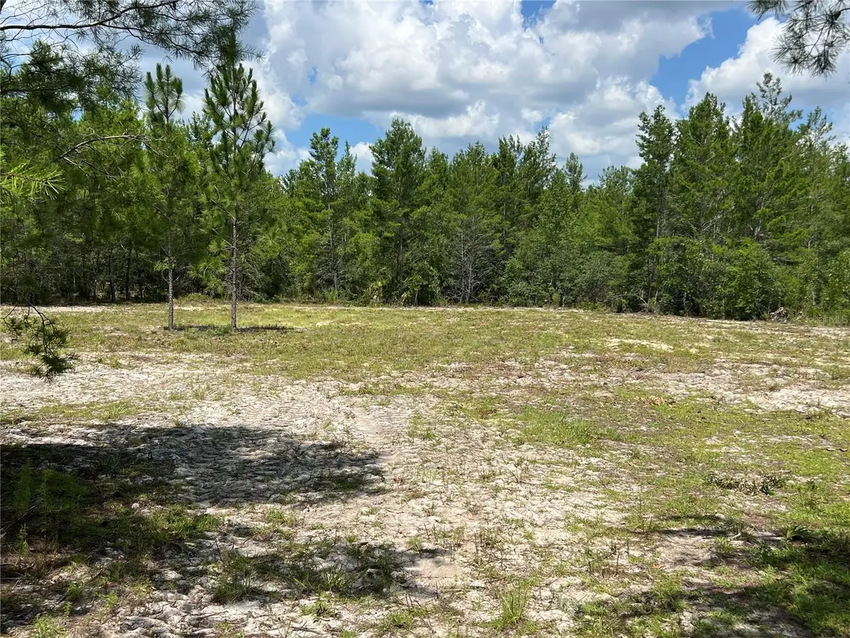 179th Place, Archer, FL 32618 - #1