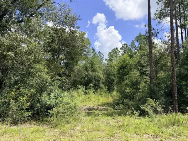 0 NE 77 Place, BRONSON, FL 32621