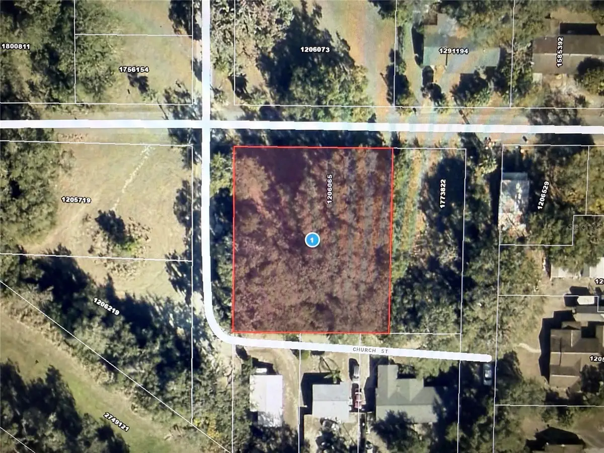 1101 E Magnolia Street, Leesburg, FL 34748 - #1