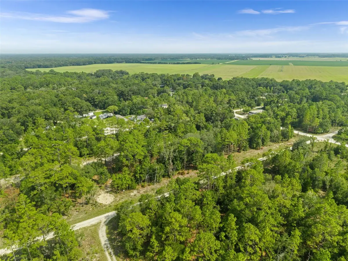 Ne 156th Ct, Williston, FL 32696 - #1
