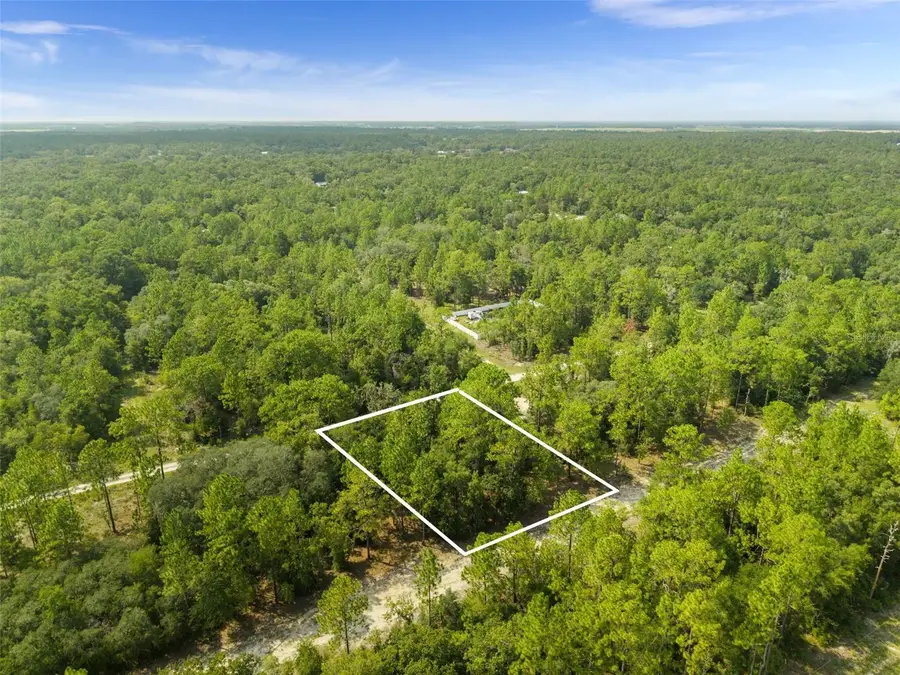 Ne 156th Ct, Williston, FL 32696 - #2