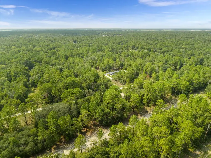 Ne 156th Ct, Williston, FL 32696 - #3