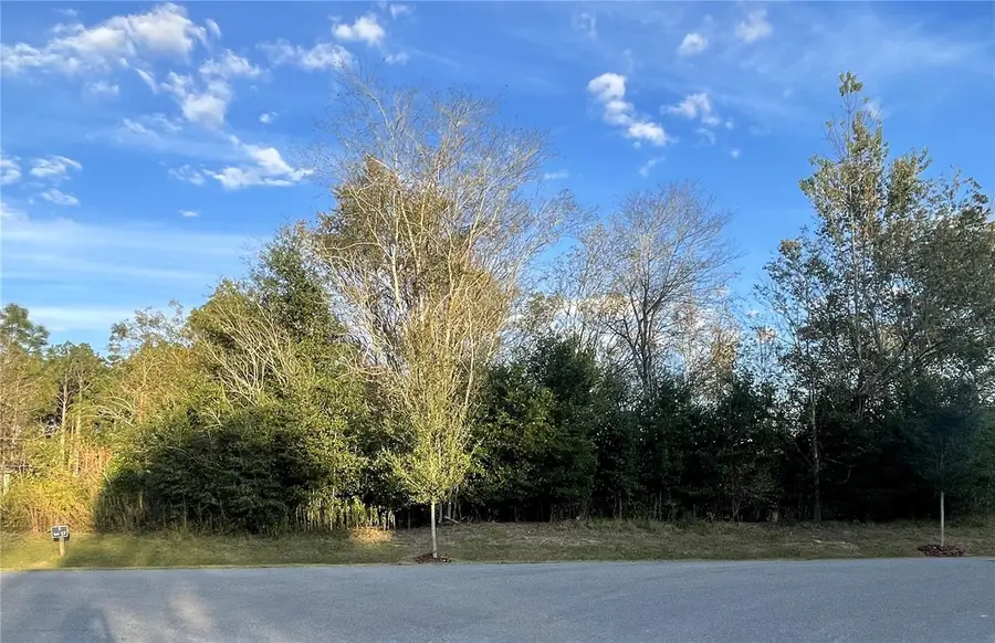 2375 NW 150th Boulevard, Newberry, FL 32669 - #2