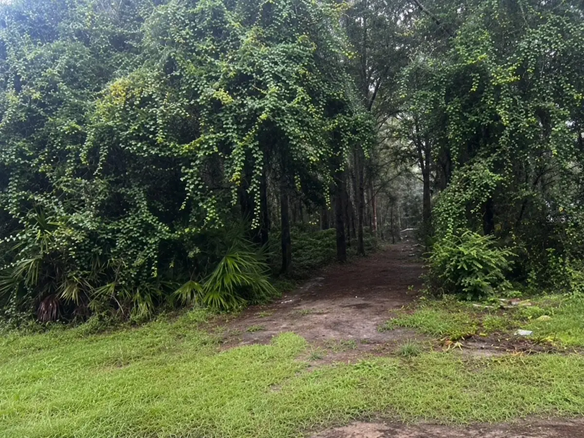 TBD NW 167th Place, Trenton, FL 32693 - #1