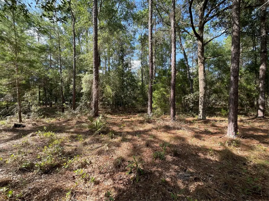TBD State Road 26, Melrose, FL 32666 - #3