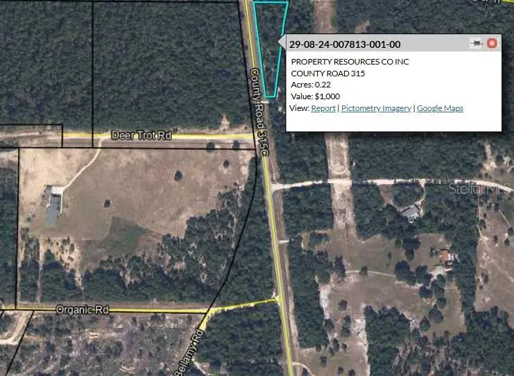 County Road 315, Melrose, FL 32666 - #1