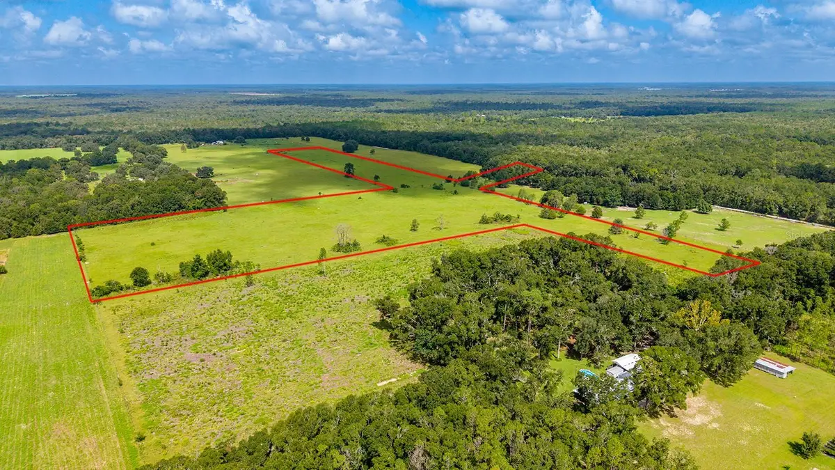 0000 NW 20th Street, Bell, FL 32619 - #1