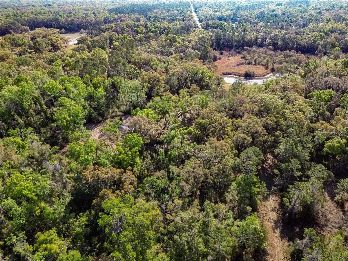 957 NE 354th Avenue, Old Town, FL 32680 - #1