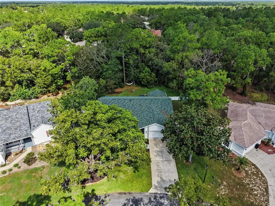 10 Colubrina Court, Homosassa, FL 34446 - #2