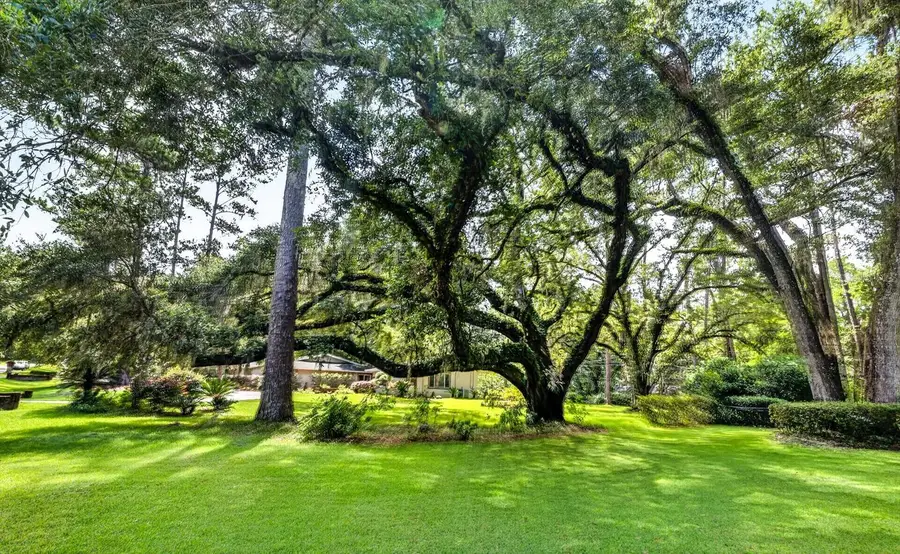 11101 NW 12th Place, Gainesville, FL 32606 - #3