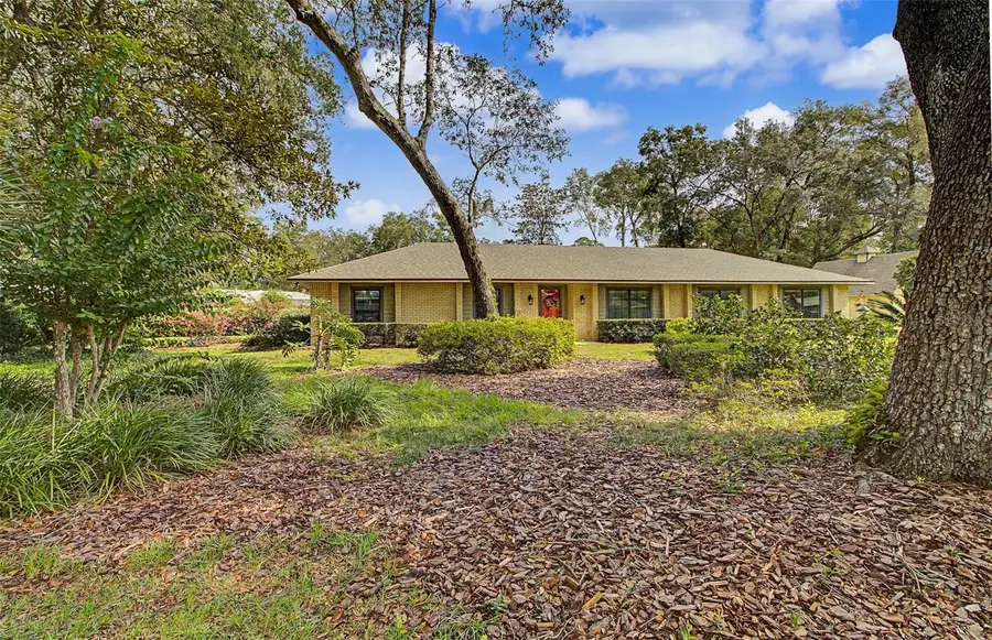295 SE 28th Street, Melrose, FL 32666 - #3