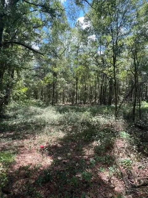 16958 NW Us Hwy 441 Highway Nw, High Springs, FL 32643 - #1