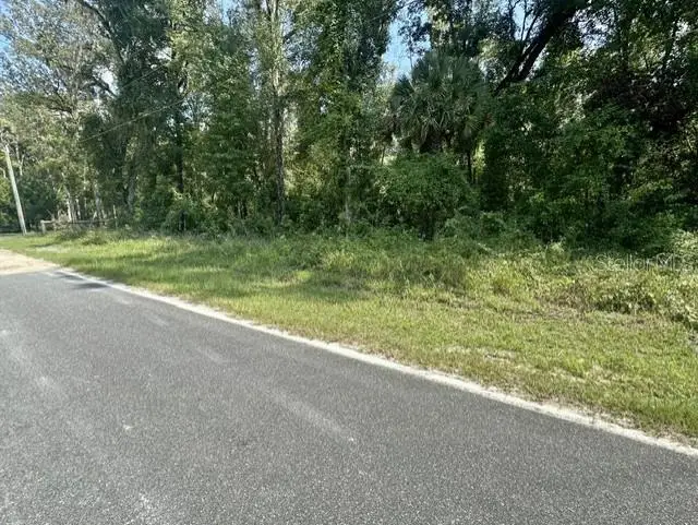 NE 597th Street, Old Town, FL 32680 - #1