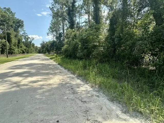 NE 796th Street, Old Town, FL 32680 - #1