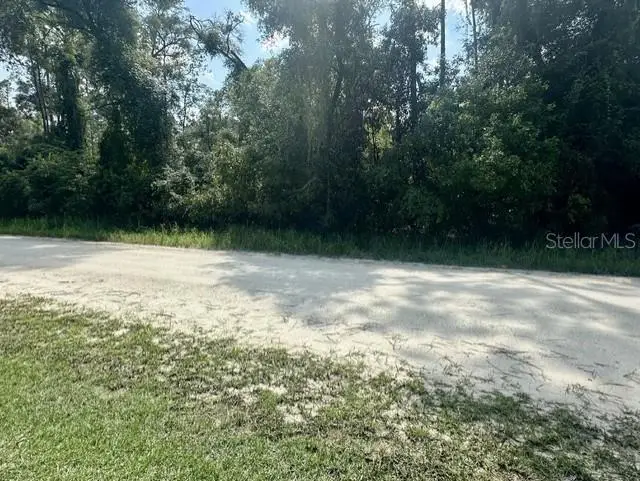 NE 796th Street, Old Town, FL 32680 - #2