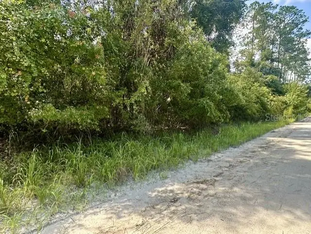 NE 796th Street, Old Town, FL 32680 - #3