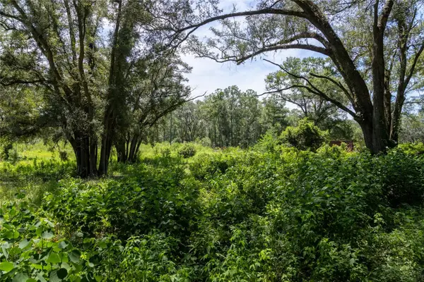 239 SW Candi Court, FORT WHITE, FL 32038
