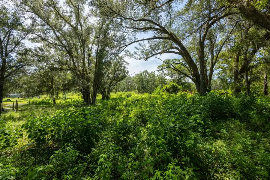 239 SW Candi Court, Fort White, FL 32038 - #3