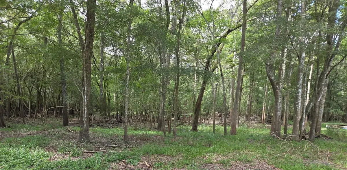 Unassigned, Old Town, FL 32680 - #1